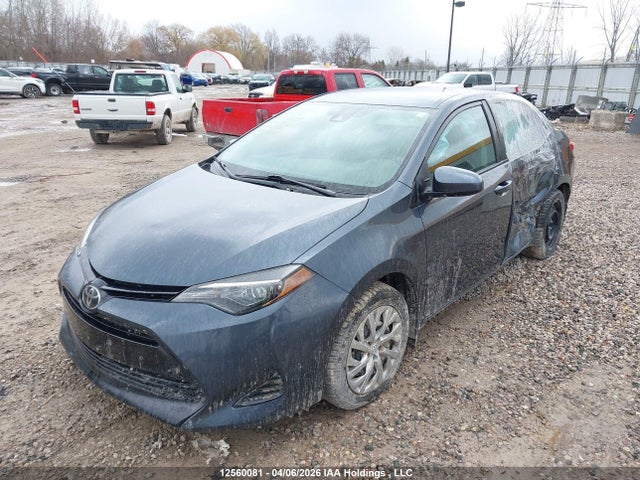 12560081 :رقم المزاد ، 2T1BURHE0KC221110 vin ، 2019 Toyota Corolla L/le/xle/se/xse مزاد بيع
