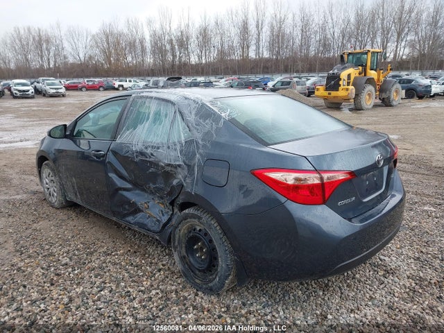12560081 :رقم المزاد ، 2T1BURHE0KC221110 vin ، 2019 Toyota Corolla L/le/xle/se/xse مزاد بيع