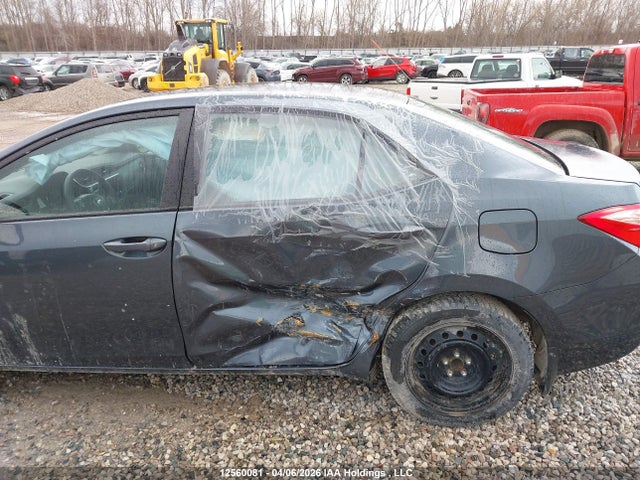 12560081 :رقم المزاد ، 2T1BURHE0KC221110 vin ، 2019 Toyota Corolla L/le/xle/se/xse مزاد بيع