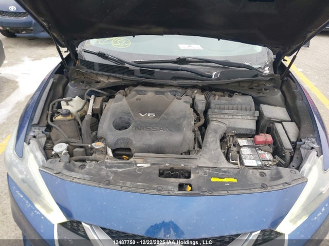 1N4AA6AP9GC380647 Nissan Maxima Platinum/sl/sr/sv