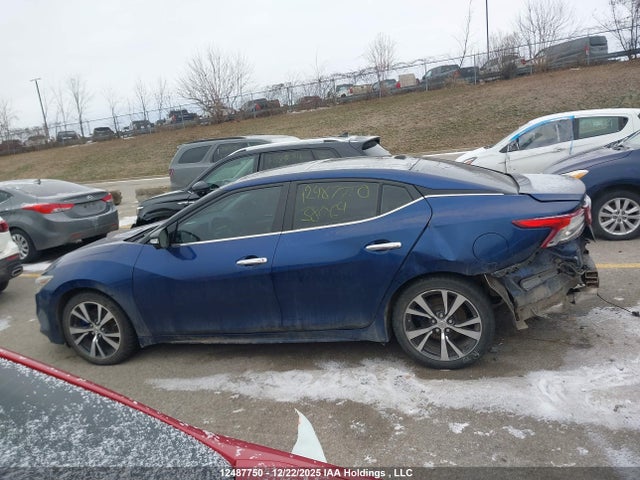 1N4AA6AP9GC380647 Nissan Maxima Platinum/sl/sr/sv