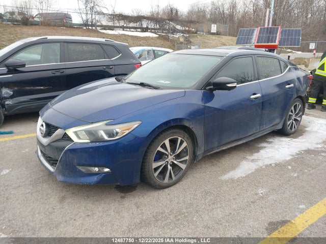 1N4AA6AP9GC380647 Nissan Maxima Platinum/sl/sr/sv