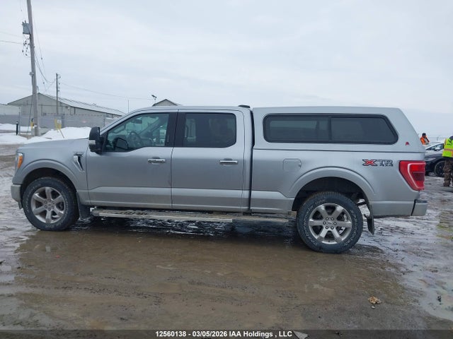 Продажа на аукционе авто 2023 Ford F-150 Xlt, vin: 1FTFW1E82PFC53762, номер лота: 12560138
