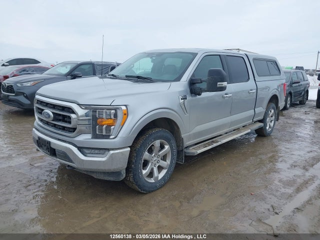 Продажа на аукционе авто 2023 Ford F-150 Xlt, vin: 1FTFW1E82PFC53762, номер лота: 12560138