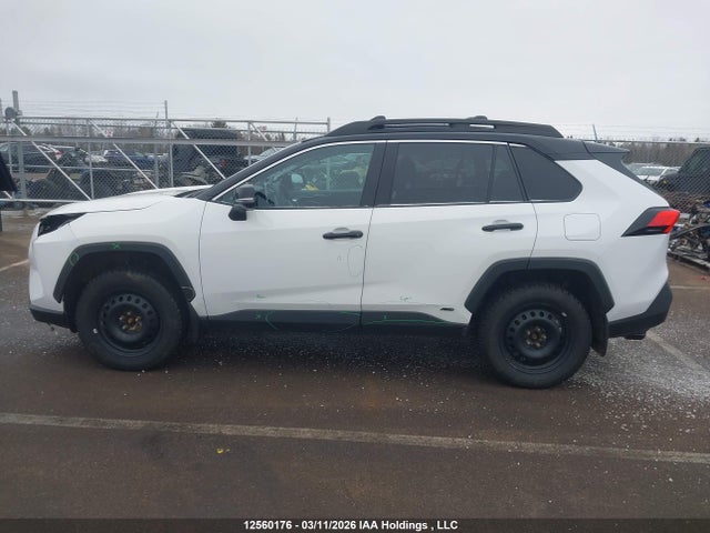 12560176 :رقم المزاد ، 2T3RWRFV1RW221841 vin ، 2024 Toyota Rav4 Hybrid Xle مزاد بيع