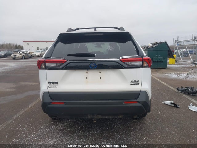 12560176 :رقم المزاد ، 2T3RWRFV1RW221841 vin ، 2024 Toyota Rav4 Hybrid Xle مزاد بيع