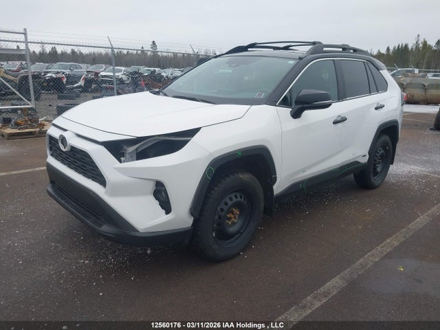 12560176 :رقم المزاد ، 2T3RWRFV1RW221841 vin ، 2024 Toyota Rav4 Hybrid Xle مزاد بيع