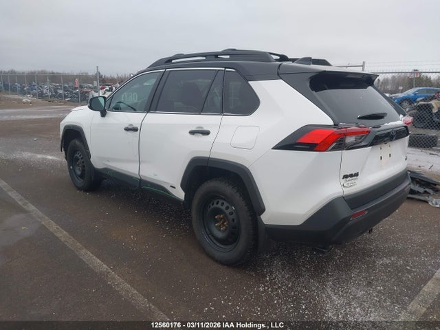 12560176 :رقم المزاد ، 2T3RWRFV1RW221841 vin ، 2024 Toyota Rav4 Hybrid Xle مزاد بيع