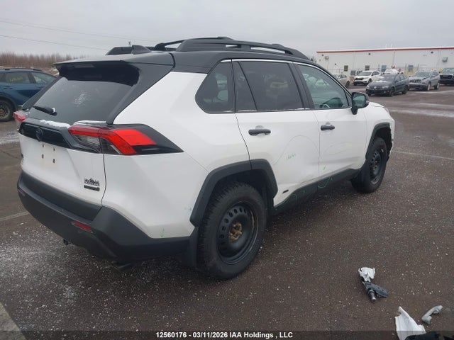 12560176 :رقم المزاد ، 2T3RWRFV1RW221841 vin ، 2024 Toyota Rav4 Hybrid Xle مزاد بيع