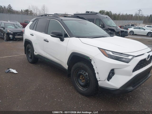 12560176 :رقم المزاد ، 2T3RWRFV1RW221841 vin ، 2024 Toyota Rav4 Hybrid Xle مزاد بيع