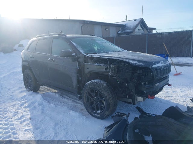 1C4PJMBX6MD118498 Jeep Cherokee Trailhawk