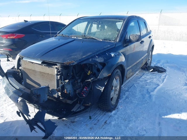 12560203 :رقم المزاد ، 1B3HB48B27D580589 vin ، 2007 Dodge Caliber Sxt مزاد بيع