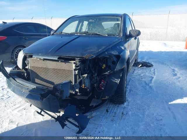 12560203 :رقم المزاد ، 1B3HB48B27D580589 vin ، 2007 Dodge Caliber Sxt مزاد بيع
