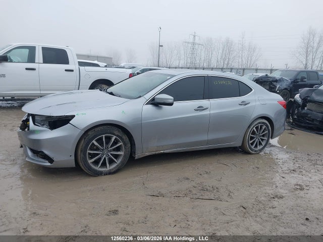 19UUB1F59KA800847 Acura Tlx Technology