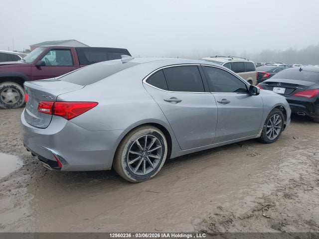 19UUB1F59KA800847 Acura Tlx Technology