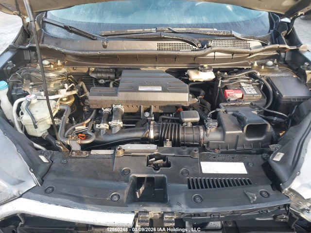 12560248 :رقم المزاد ، 2HKRW2H28KH146966 vin ، 2019 Honda Cr-v Lx مزاد بيع