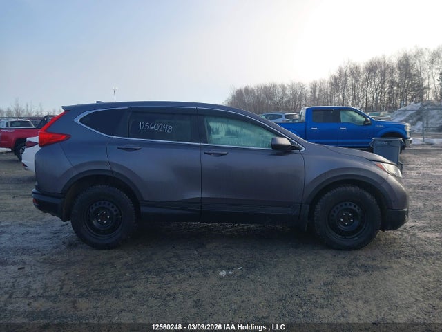 12560248 :رقم المزاد ، 2HKRW2H28KH146966 vin ، 2019 Honda Cr-v Lx مزاد بيع