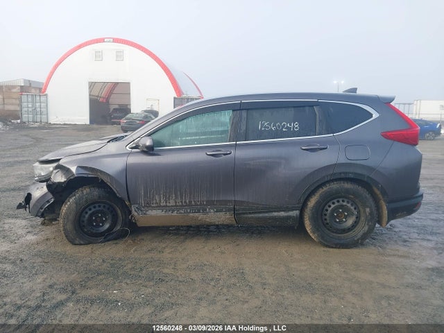 12560248 :رقم المزاد ، 2HKRW2H28KH146966 vin ، 2019 Honda Cr-v Lx مزاد بيع