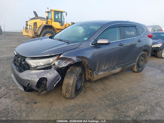 12560248 :رقم المزاد ، 2HKRW2H28KH146966 vin ، 2019 Honda Cr-v Lx مزاد بيع