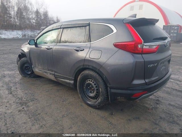 12560248 :رقم المزاد ، 2HKRW2H28KH146966 vin ، 2019 Honda Cr-v Lx مزاد بيع