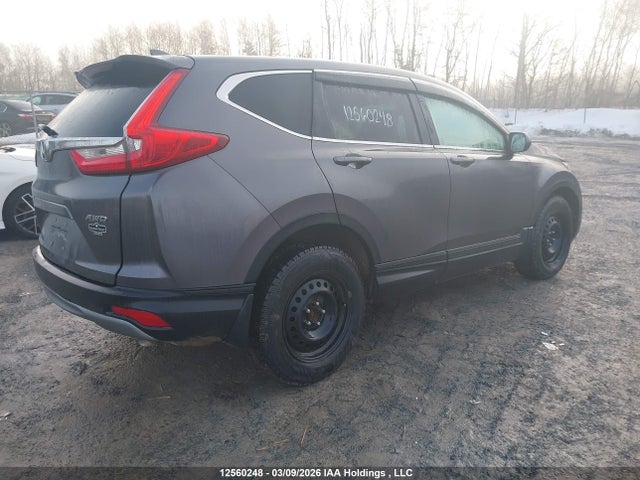 12560248 :رقم المزاد ، 2HKRW2H28KH146966 vin ، 2019 Honda Cr-v Lx مزاد بيع
