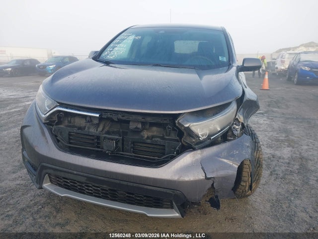 12560248 :رقم المزاد ، 2HKRW2H28KH146966 vin ، 2019 Honda Cr-v Lx مزاد بيع