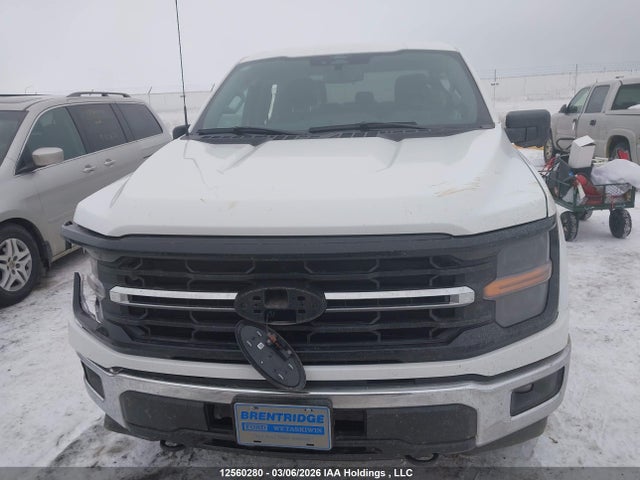 Ford F150 Xlt 2024 1FTFW3L54RKD14625 Image 12