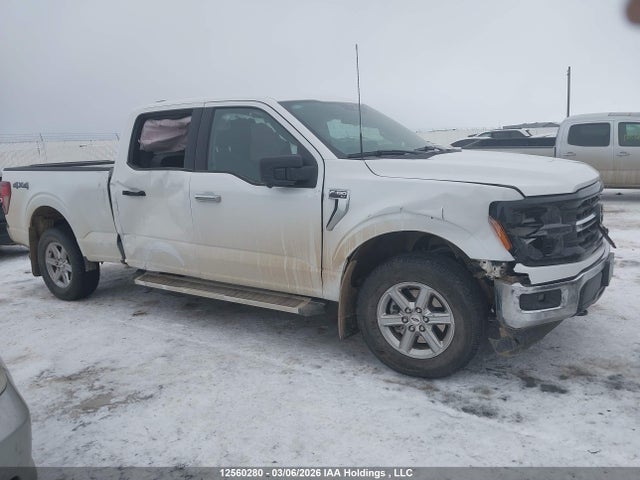 Ford F150 Xlt 2024 1FTFW3L54RKD14625 Image 13