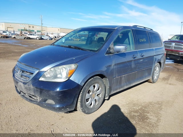 Aukcja sprzedaży 2005 Honda Odyssey Ex, vin: 5FNRL38425B501956, numer aukcji: 12560286