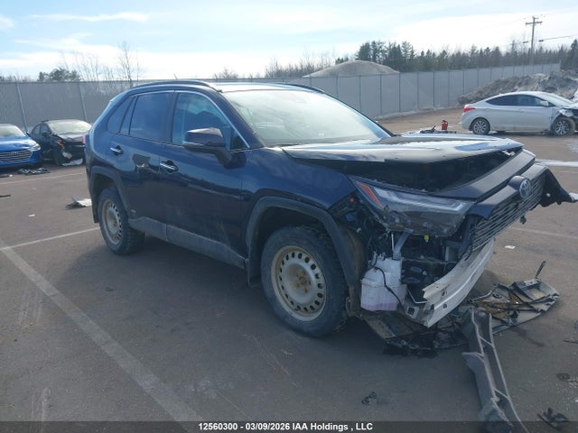 Продаж на аукціоні авто 2023 Toyota Rav4 Hybrid Limited, vin: 2T3DWRFVXPW177295, номер лоту: 12560300