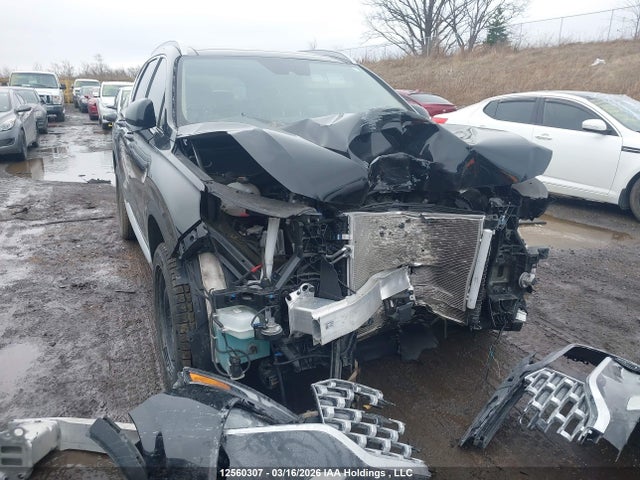 2023 Hyundai Santa Fe Preferred Awd With Trend Package მანქანა იყიდება აუქციონზე, vin: 5NMS3DAJ6PH595123, აუქციონის ნომერი: 12560307
