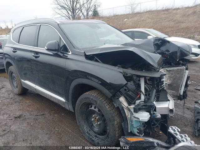 Продаж на аукціоні авто 2023 Hyundai Santa Fe Preferred Awd With Trend Package, vin: 5NMS3DAJ6PH595123, номер лоту: 12560307