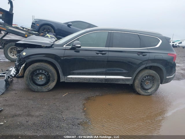 Продаж на аукціоні авто 2023 Hyundai Santa Fe Preferred Awd With Trend Package, vin: 5NMS3DAJ6PH595123, номер лоту: 12560307