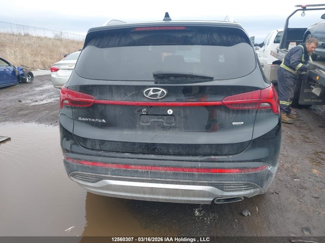 Продаж на аукціоні авто 2023 Hyundai Santa Fe Preferred Awd With Trend Package, vin: 5NMS3DAJ6PH595123, номер лоту: 12560307