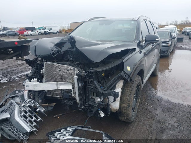Продаж на аукціоні авто 2023 Hyundai Santa Fe Preferred Awd With Trend Package, vin: 5NMS3DAJ6PH595123, номер лоту: 12560307