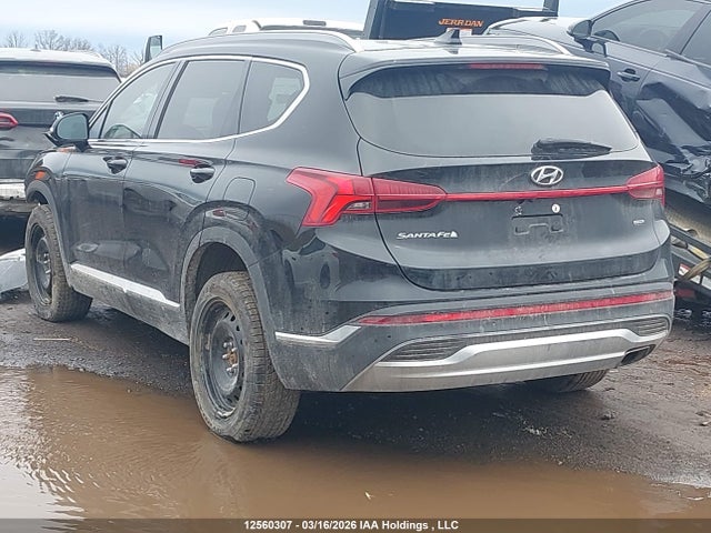Продаж на аукціоні авто 2023 Hyundai Santa Fe Preferred Awd With Trend Package, vin: 5NMS3DAJ6PH595123, номер лоту: 12560307