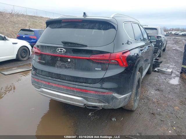 Продаж на аукціоні авто 2023 Hyundai Santa Fe Preferred Awd With Trend Package, vin: 5NMS3DAJ6PH595123, номер лоту: 12560307