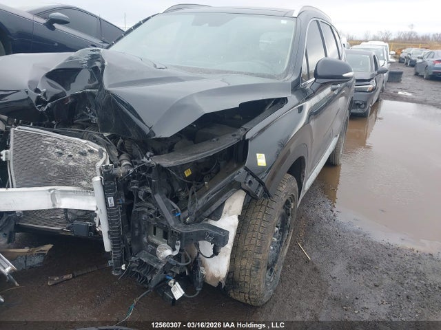 Продаж на аукціоні авто 2023 Hyundai Santa Fe Preferred Awd With Trend Package, vin: 5NMS3DAJ6PH595123, номер лоту: 12560307