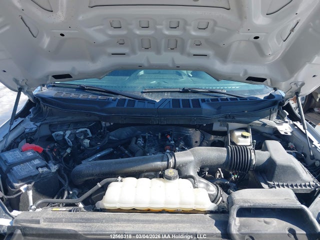 1FTFW3L83SKE49174 Ford F150 Xlt