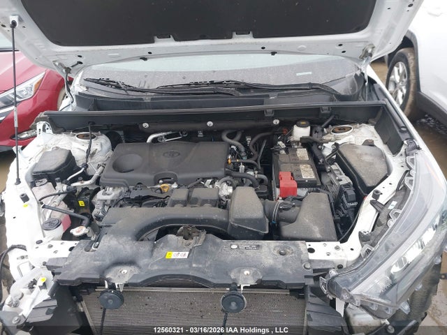 12560321 :رقم المزاد ، 2T3B1RFV3PC381816 vin ، 2023 Toyota Rav4 Le مزاد بيع