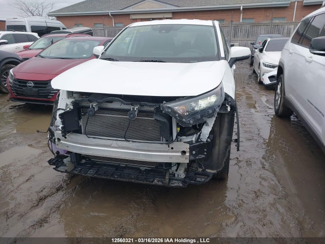 12560321 :رقم المزاد ، 2T3B1RFV3PC381816 vin ، 2023 Toyota Rav4 Le مزاد بيع