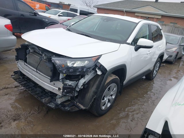 12560321 :رقم المزاد ، 2T3B1RFV3PC381816 vin ، 2023 Toyota Rav4 Le مزاد بيع