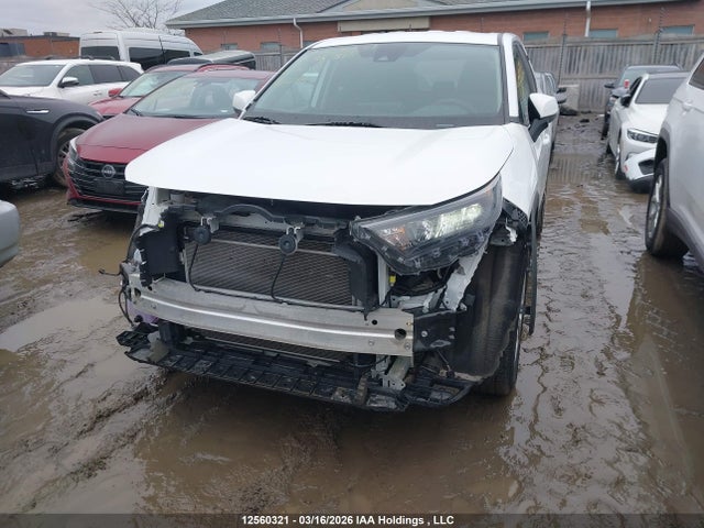 12560321 :رقم المزاد ، 2T3B1RFV3PC381816 vin ، 2023 Toyota Rav4 Le مزاد بيع