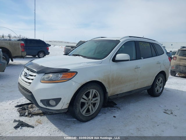 Aukcja sprzedaży 2010 Hyundai Santa Fe Limited 3.5, vin: 5NMSHDAG7AH410686, numer aukcji: 12560340