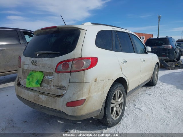 Aukcja sprzedaży 2010 Hyundai Santa Fe Limited 3.5, vin: 5NMSHDAG7AH410686, numer aukcji: 12560340