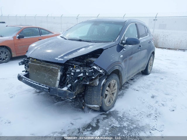 Продаж на аукціоні авто 2019 Kia Sportage Lx, vin: KNDPMCAC3K7496404, номер лоту: 12560341