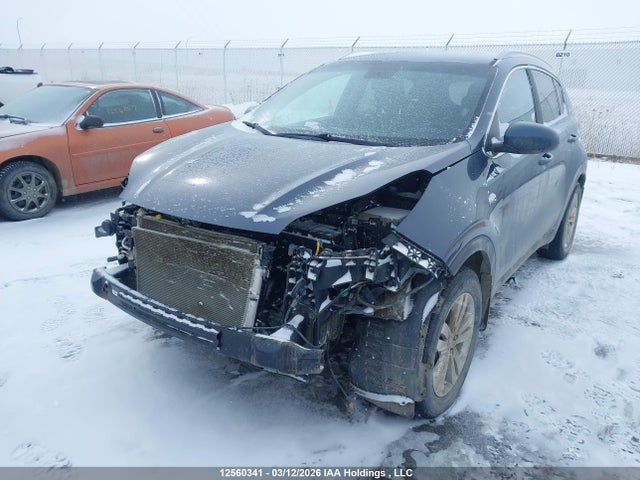 Продаж на аукціоні авто 2019 Kia Sportage Lx, vin: KNDPMCAC3K7496404, номер лоту: 12560341