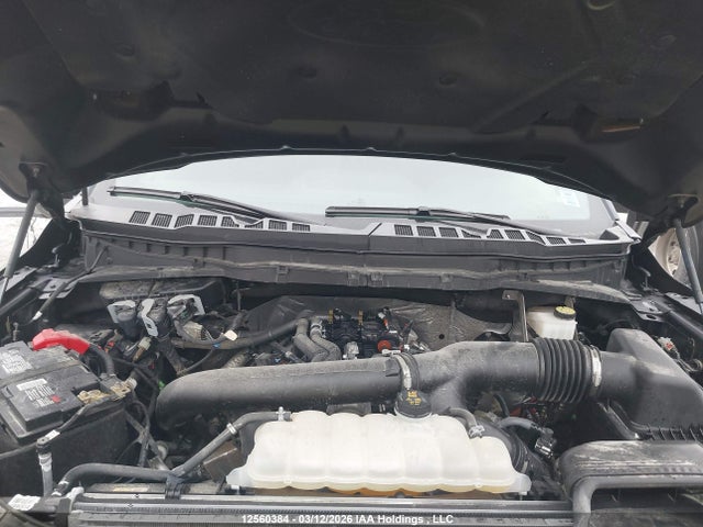 Продажа на аукционе авто 2024 Ford F-150 Tremor, vin: 1FTFW4L84RFC18955, номер лота: 12560384