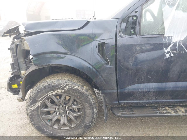 Продажа на аукционе авто 2024 Ford F-150 Tremor, vin: 1FTFW4L84RFC18955, номер лота: 12560384