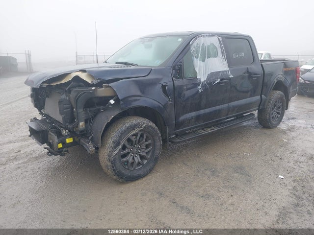 Продажа на аукционе авто 2024 Ford F-150 Tremor, vin: 1FTFW4L84RFC18955, номер лота: 12560384